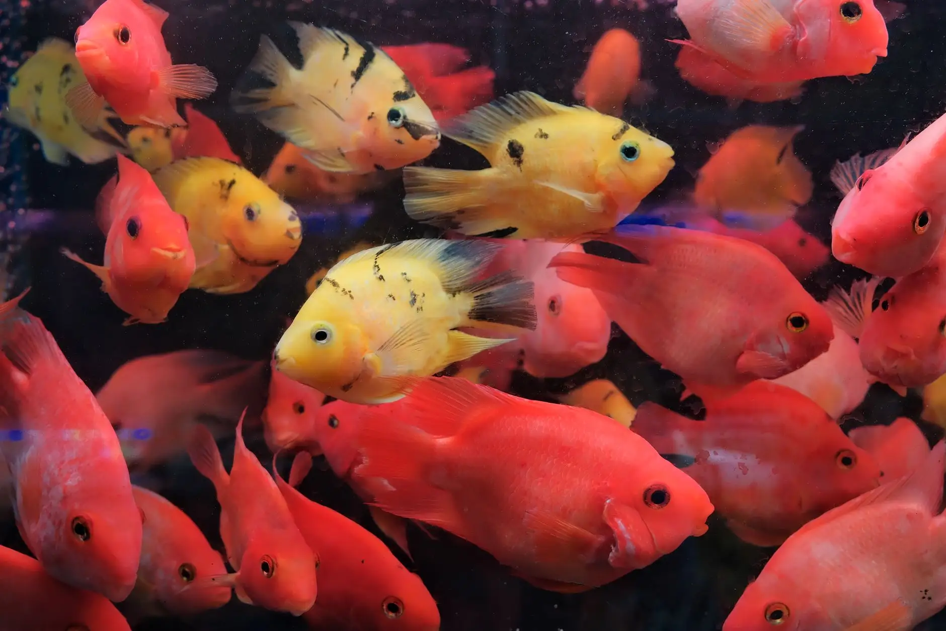 不锈钢厨房置物架生产工艺流程与质量检测标准
