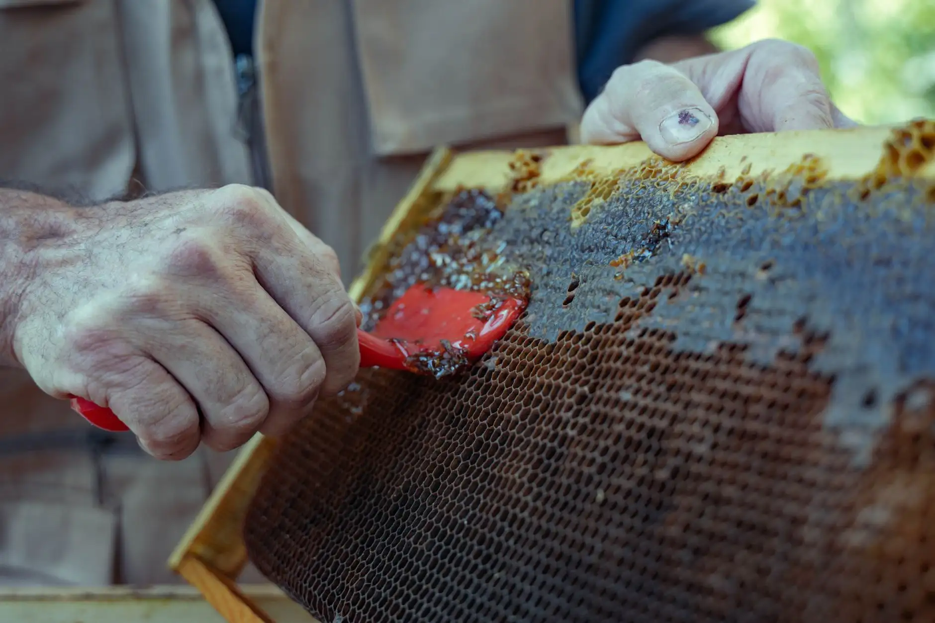珠三角家庭厨房收纳方案：伟佳置物架与调料架搭配指南